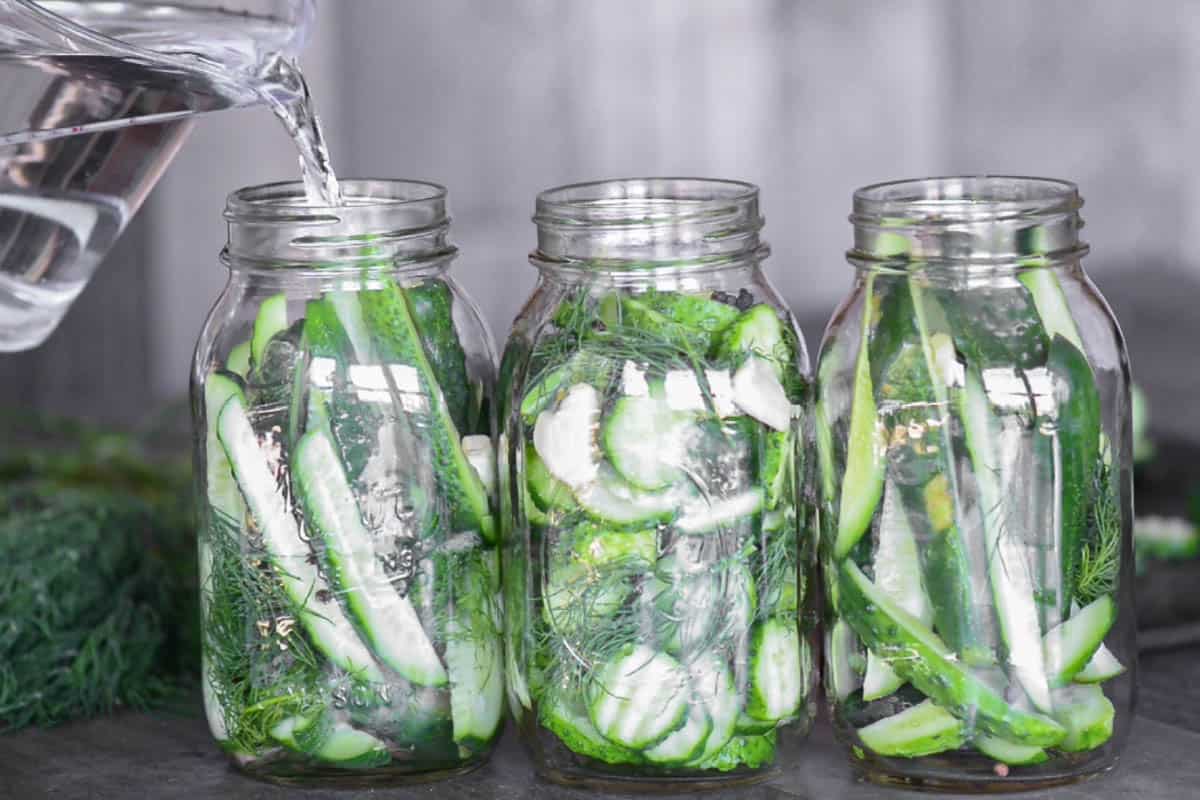 pouring brine onto freshly sliced pickling cucumbers with garlic and dill in mason jars.