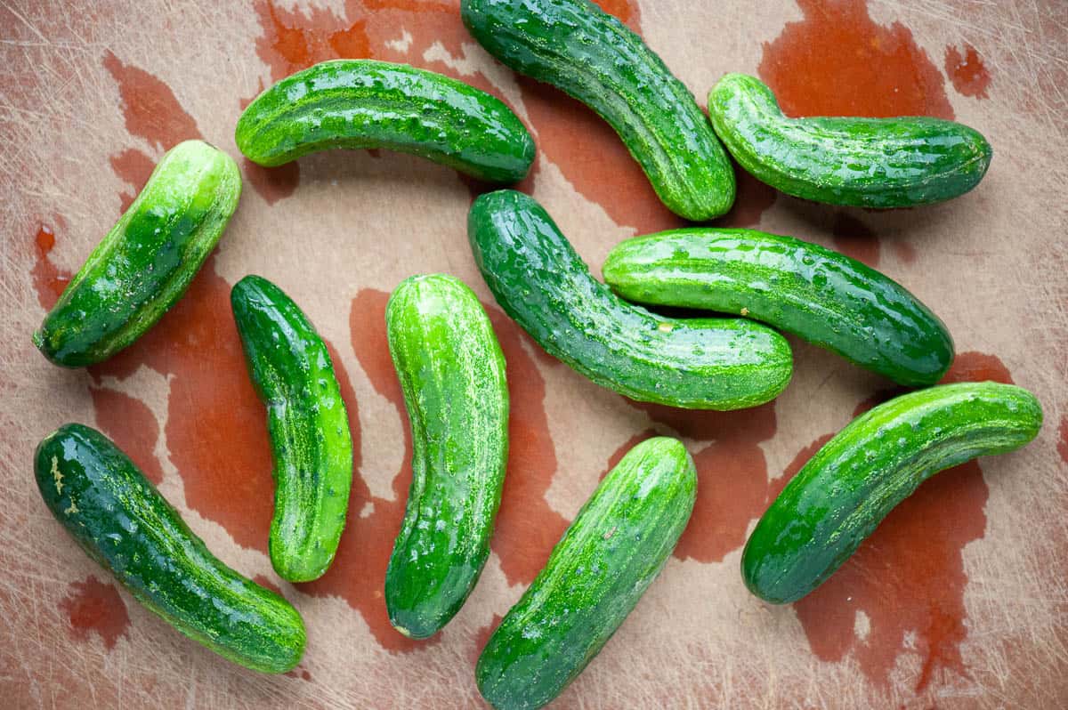 washed pickling cucumbers on a cutting board.