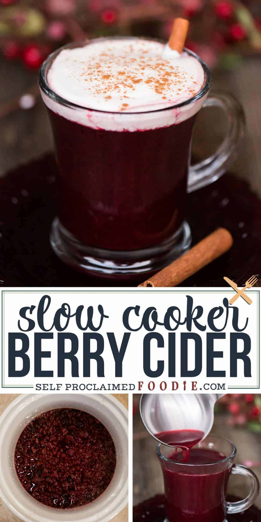 Slow Cooker Berry Cider Recipe Self Proclaimed Foodie