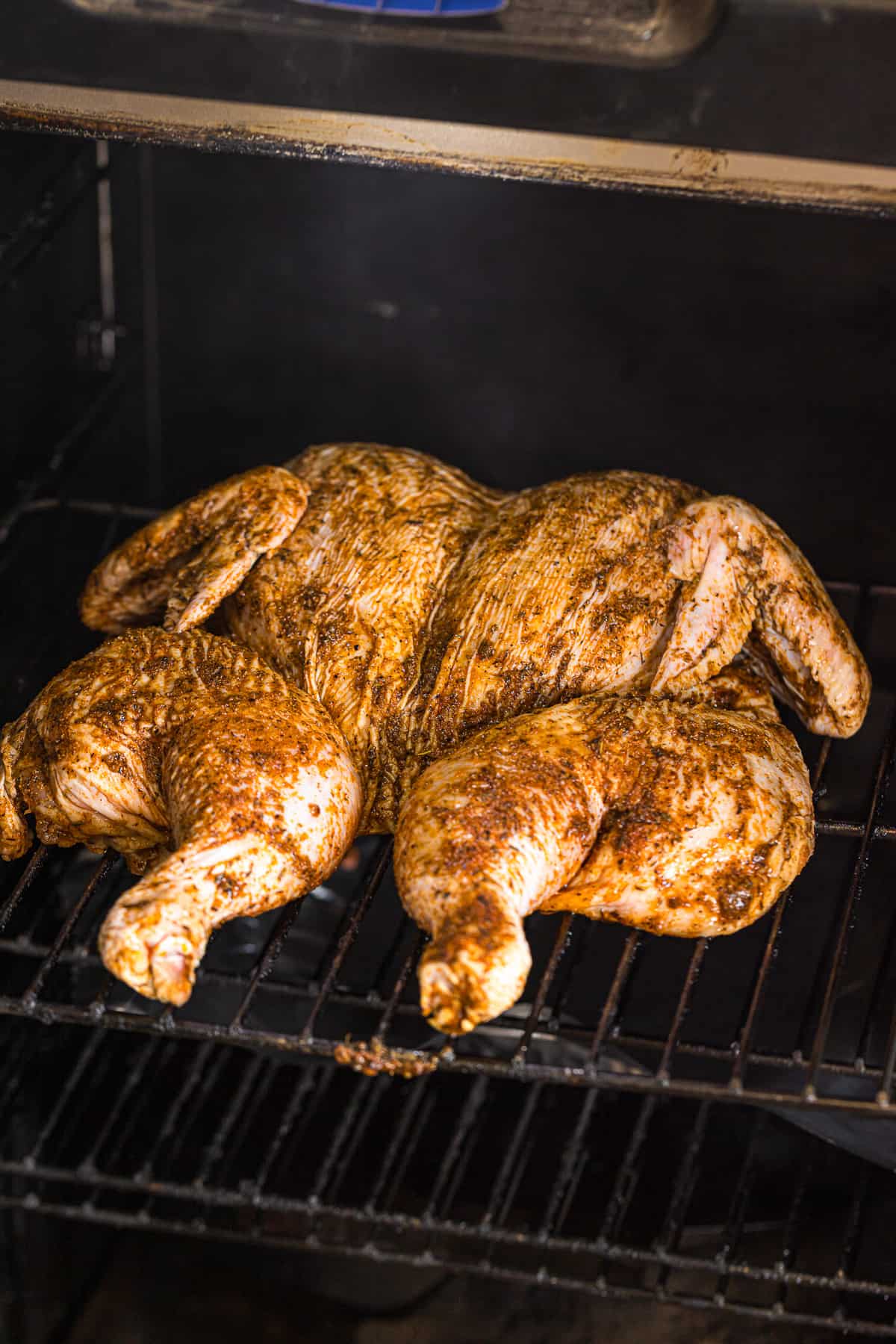 seasoned spatchcock chicken on smoker grill