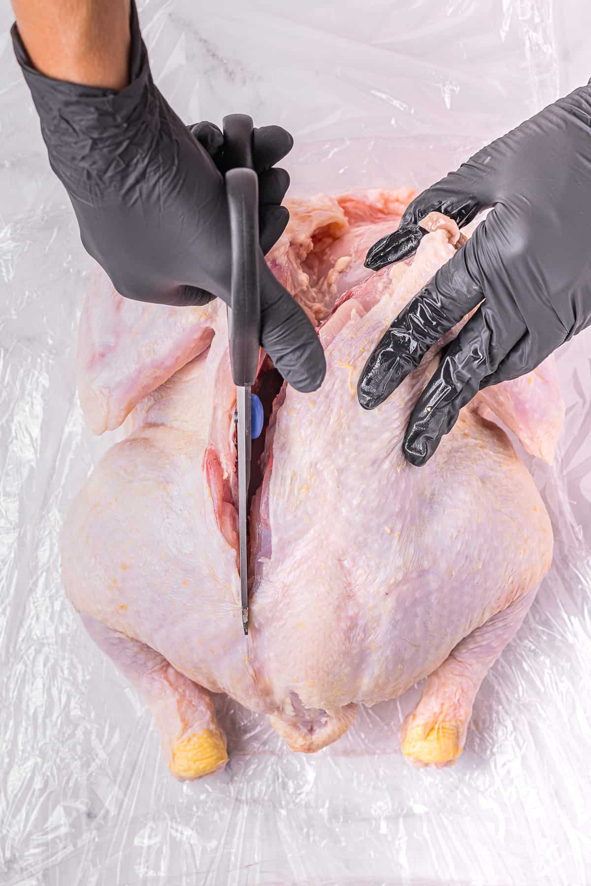 Using sharp kitchen shears to cut down back of whole chicken.