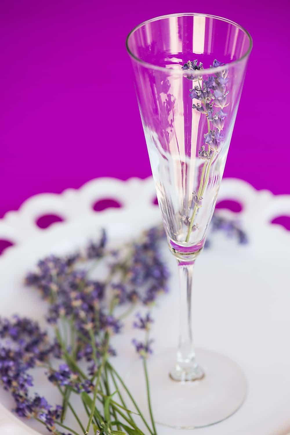 lavender in a champagne flute