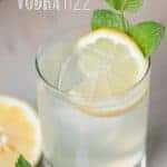 summer vodka fizz with lemon and mint