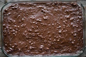 chocolate Texas Sheet Cake with fudge pecan frosting