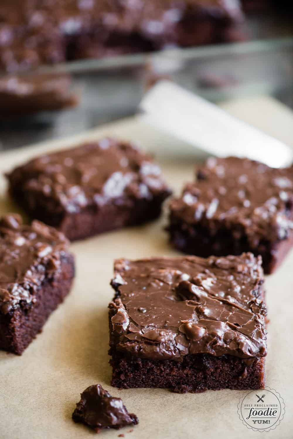 Texas Sheet Cake - Recipe for Chocolate Cake with Pecans