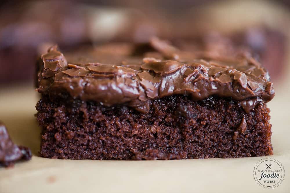 slice of chocolate Texas Sheet Cake