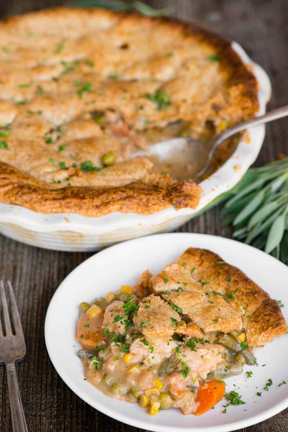 homemade crust with turkey, gravy, and vegetable pot pie on plate