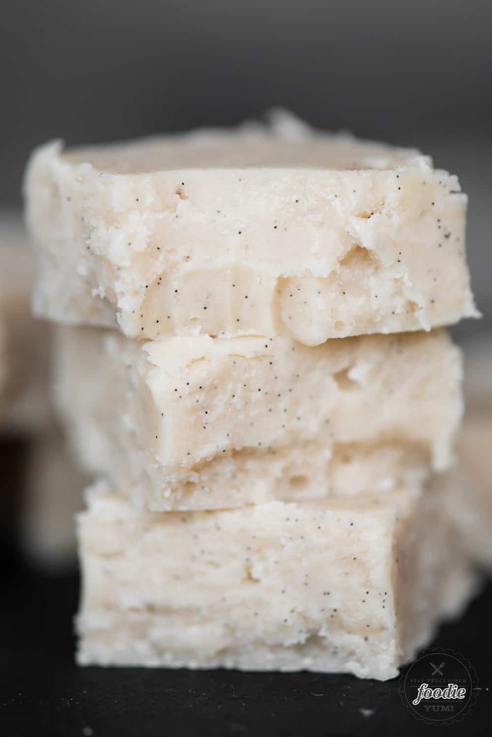 Homemade Vanilla Fudge Recipe Self Proclaimed Foodie