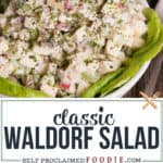 classic Waldorf Salad