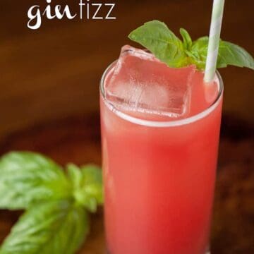 a glass of watermelon cocktail with gin